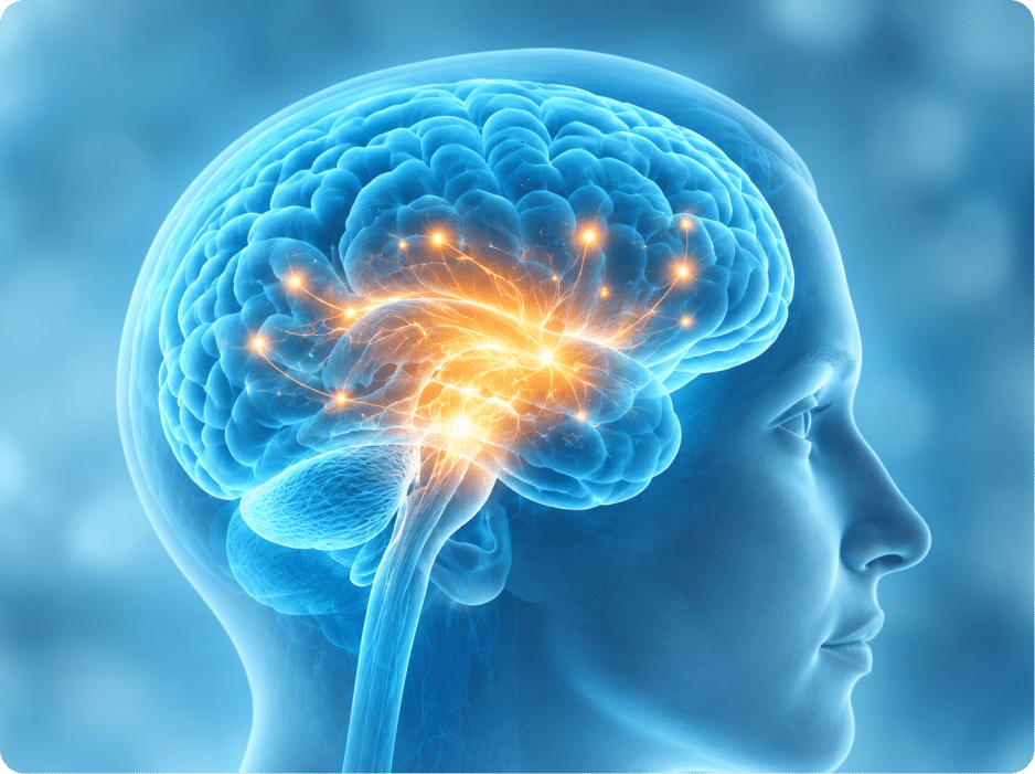 Illustration of ketamine's effect on brain activity